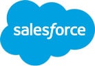 leads salesforce integration web development seo